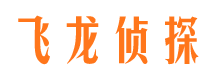 北塔市私家侦探